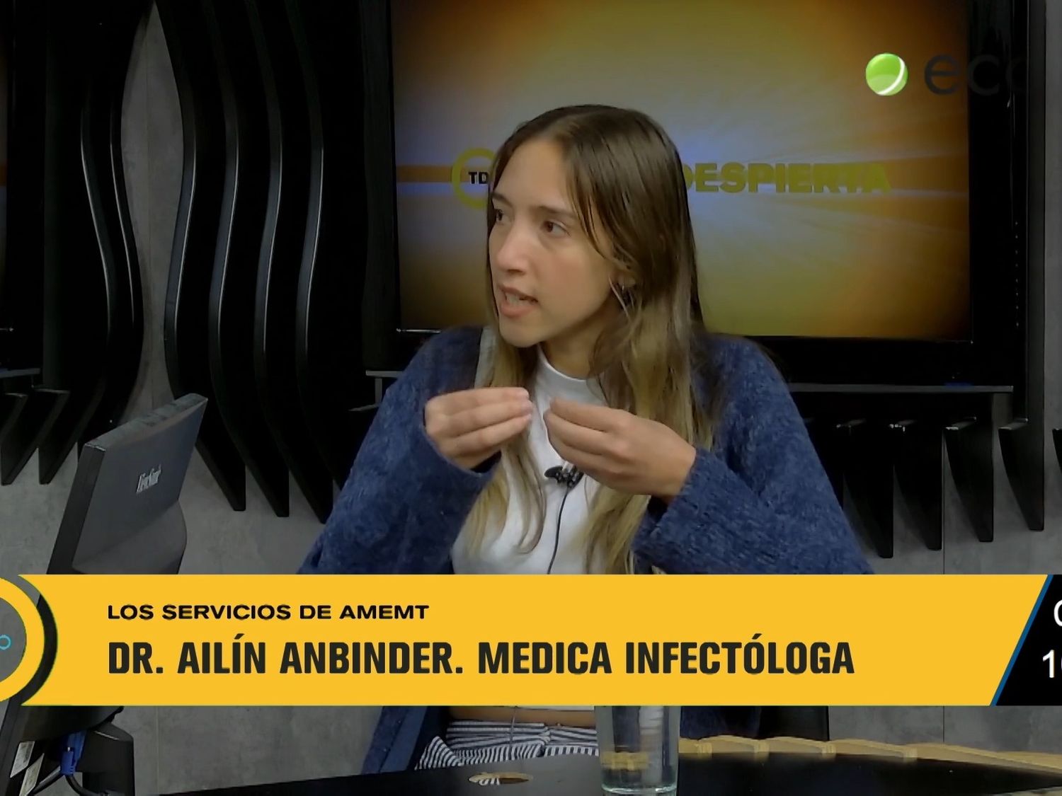 Los servicios de Amemt