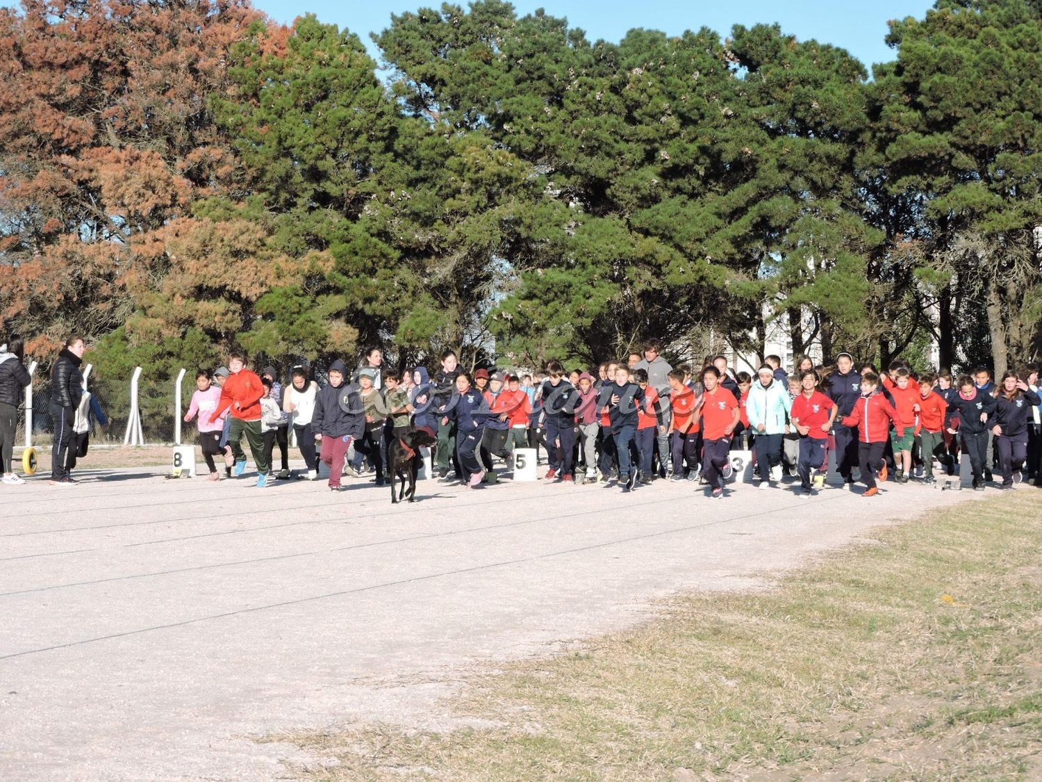Encuentro interescolar masivo, con más de 700 alumnos en la Pista de Atletismo