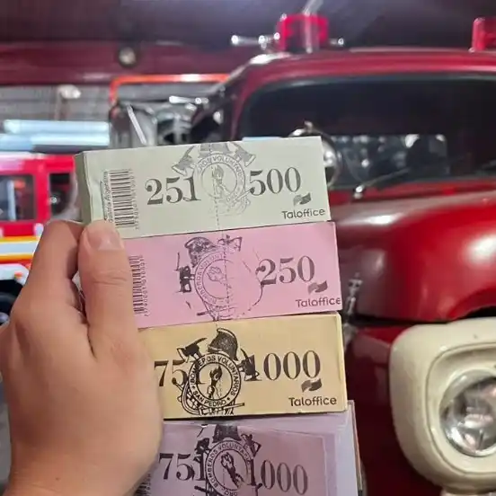 chancho móvil números