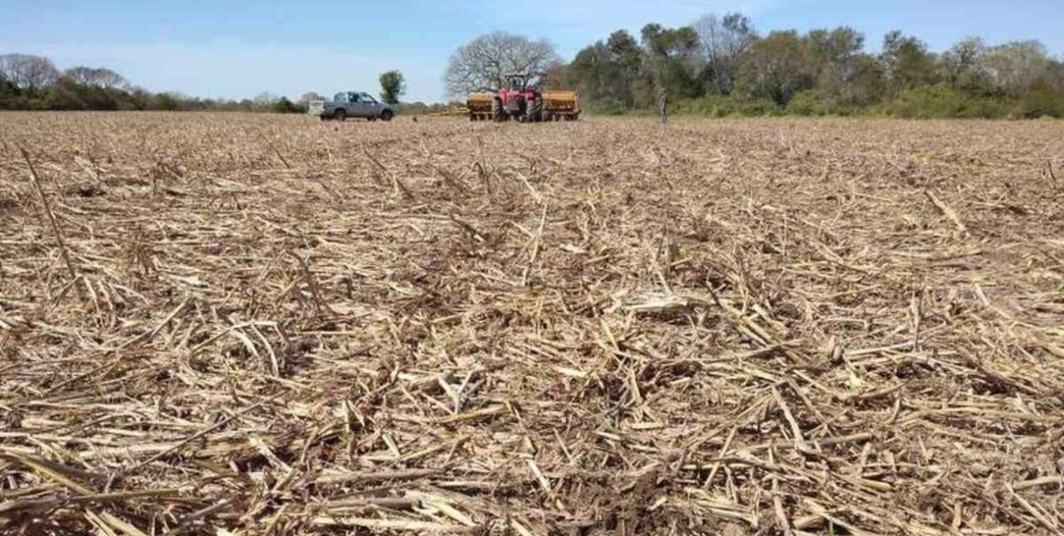 La Mesa de Enlace reclama “medidas urgentes” para enfrentar la sequía