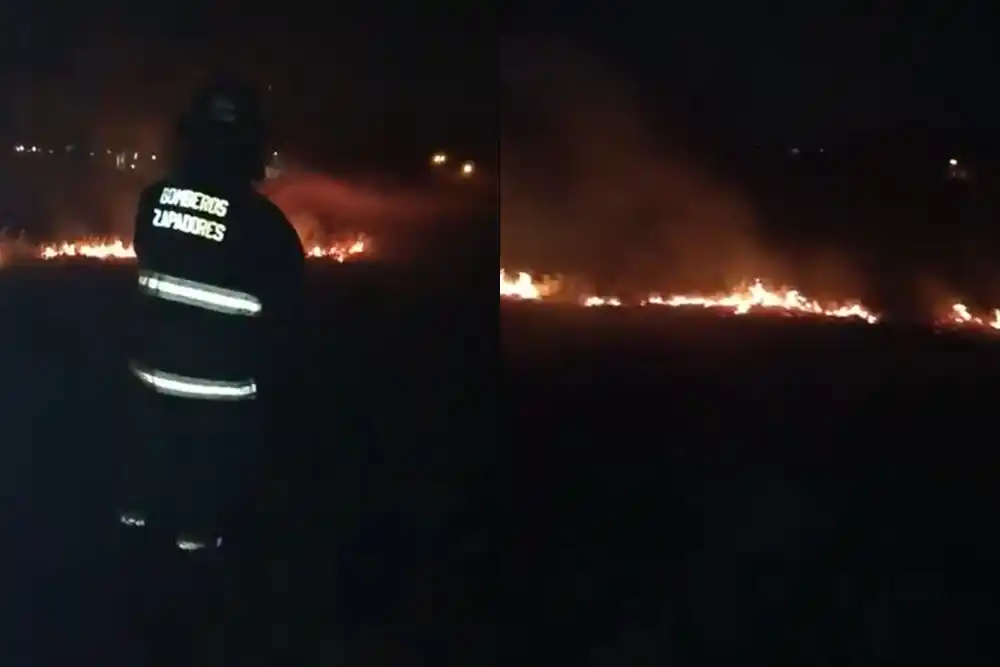 Captura: Bomberos Zapadores