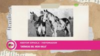 Néstor Di Paola y los cien años de la odisea de Gato y Mancha