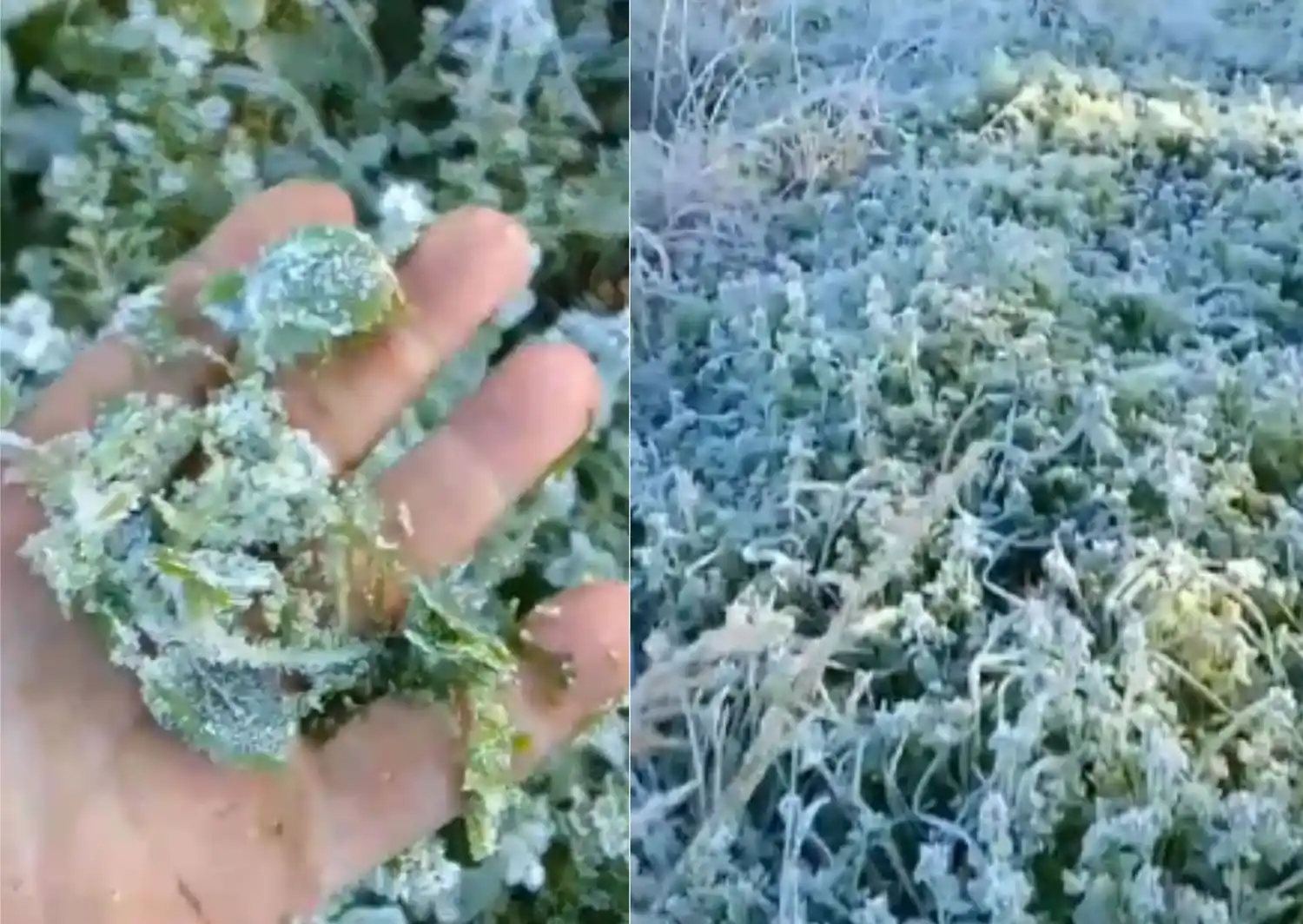 El reporte de Totó que desencadenó polémica en los comentarios de Facebook.