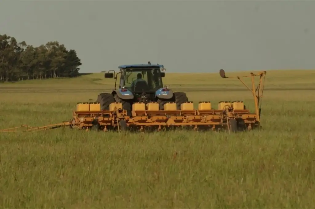 La agricultura y la minería fueron los sectores que más impulsaron la actividad económica.