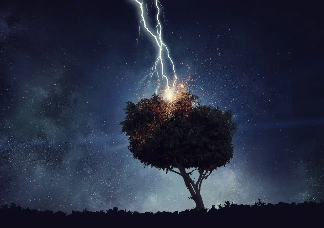 El protagonista tenía solo 16 años de edad.