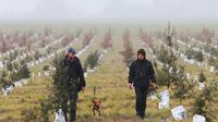Se reunió, por primera vez, la Mesa Provincial de Truficultores Bonaerenses