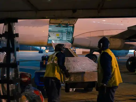 Una aerolínea reactivó su carga aérea en Rosario