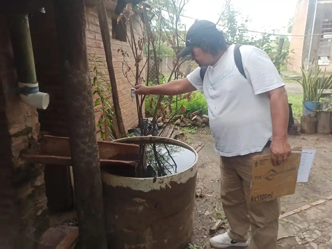 Dengue: ante el aumento de mosquitos por las lluvias, instan a la colaboración vecinal