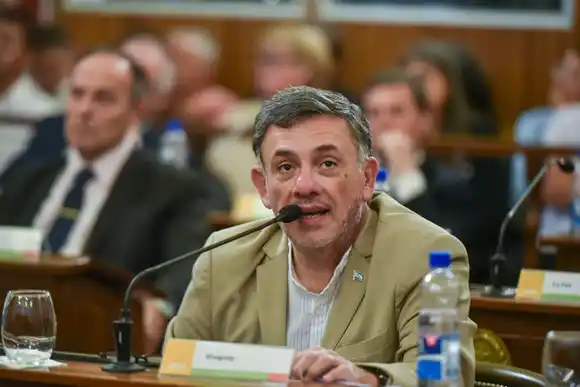 El proyecto de creación del Consejo Interuniversitario Provincial obtuvo respaldo unánime en el Senado