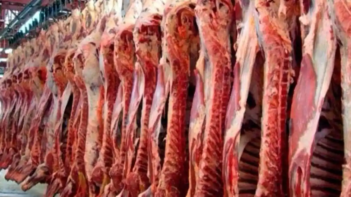 Podrían volver las retenciones a la carne vacuna desde el 1° de noviembre