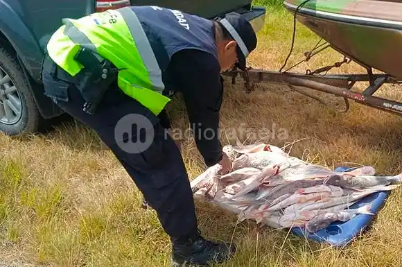 En la región: detectaron a pescadores sin habilitación y con más de 40 sábalos y patíes "escondidos"