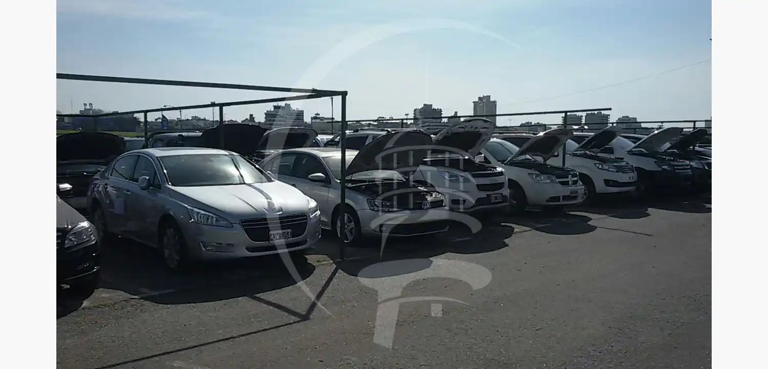 "Lavado Total": piden destino social para los 284 vehículos secuestrados