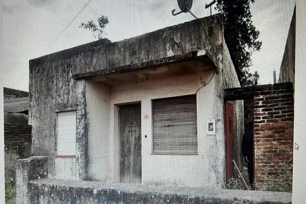 Un hombre murió en su casa y los gatos le comieron parte del rostro