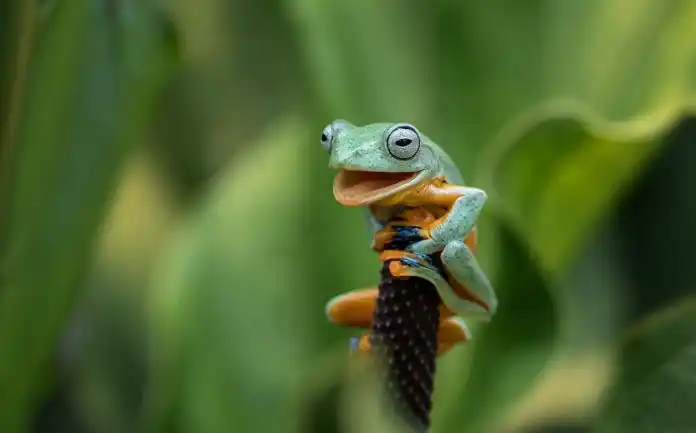 ¡Las fotos más curiosas y divertidas de los animales!