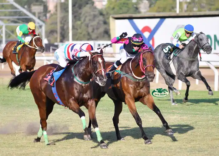 Miércoles 11: Actividad Hipódromo de San Isidro