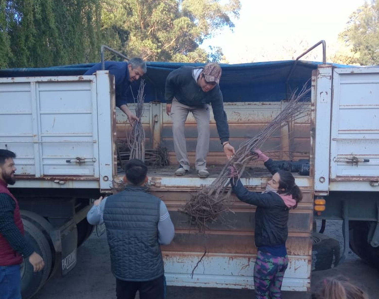 Productores de Tandil recibieron plantas frutales en el marco del Plan Frutícola