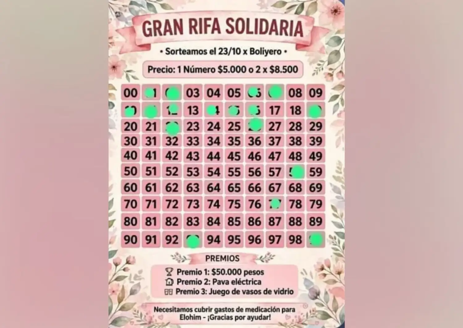 Rifa solidaria para Elohim