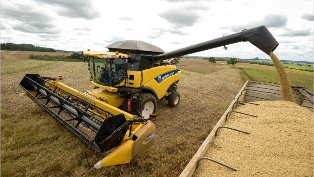 El campo realizara un paro  por tres días