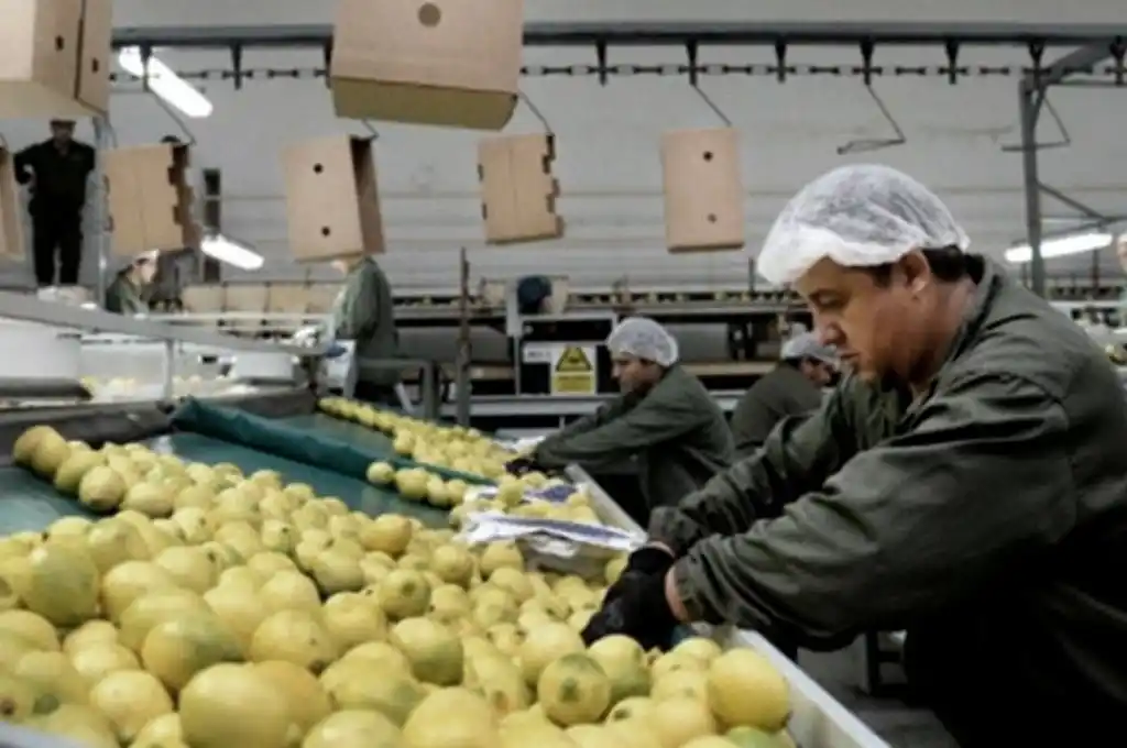 Desde mayo, la UE reabre su mercado para los frutos cítricos argentinos