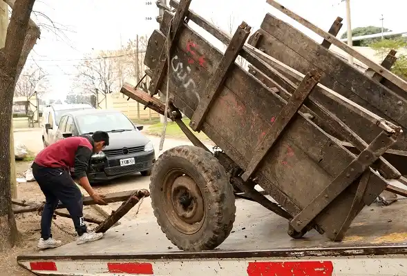 Una yegua chocó un auto y reavivó la polémica por la tracción a sangre