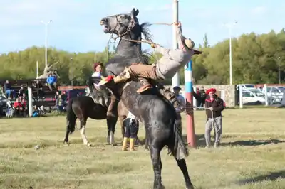 Control de alcoholemia a la salida de una jineteada: "Los gauchos no toman Coca Cola"
