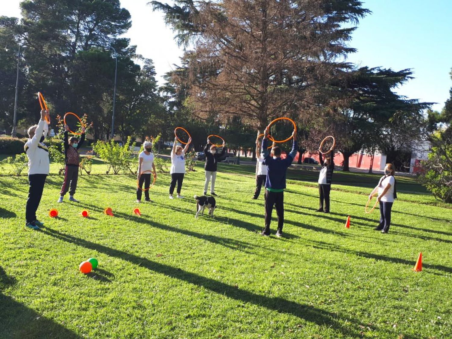 Continúan las actividades del Área de Adultos Mayores