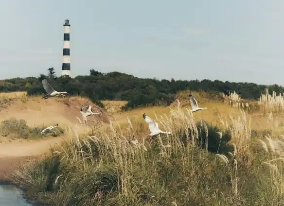 Turismo en la Provincia de Buenos Aires: Escapadas y festivales de este fin de semana