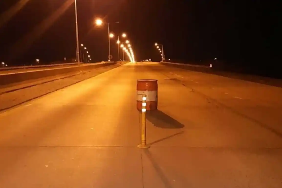 Un coche fúnebre embistió un vacuno suelto en la ruta en pleno traslado de un cuerpo