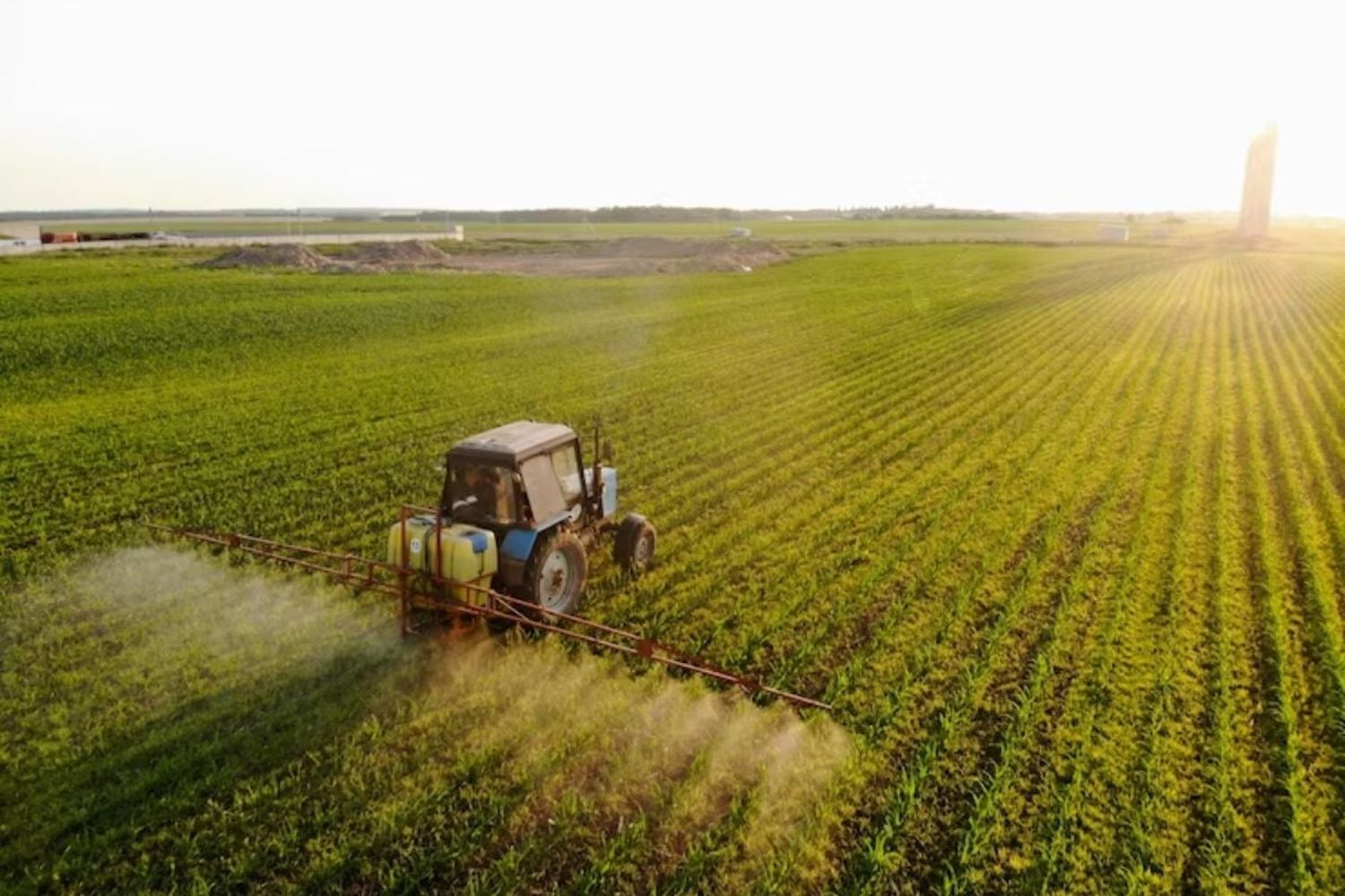 Mientras la Argentina espera que la minería y Vaca Muerta se sumen al aporte de divisas indispensables para la economía del país es la agroindustria la que trae las divisas. Crédito: Reuters/Matias Baglietto