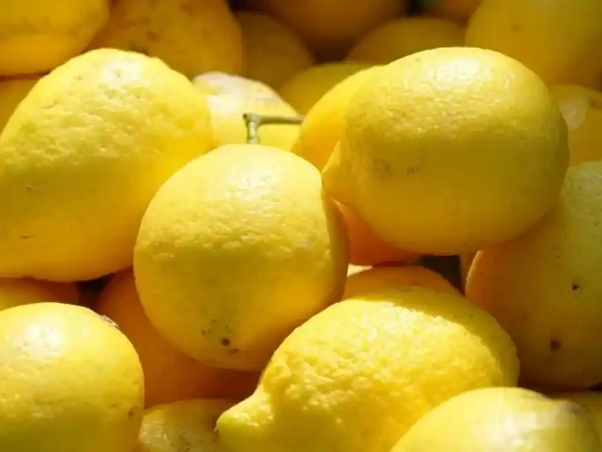 Las exportaciones de limón alcanzaron su mejor desempeño en dos décadas.