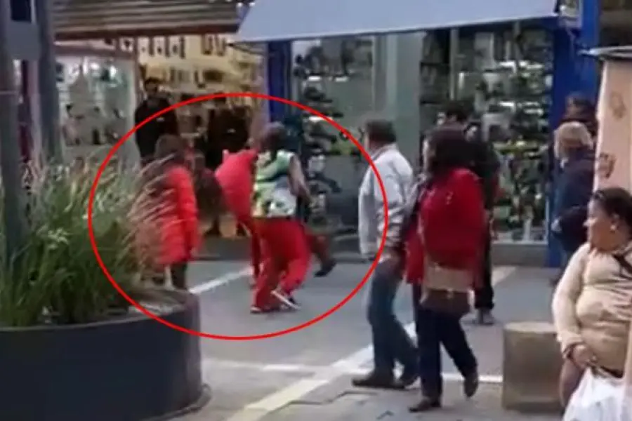 VIRAL | El Chapulín cordobés, junto a "La Mona Giménez" a las trompadas defendiéndose de un ladrón