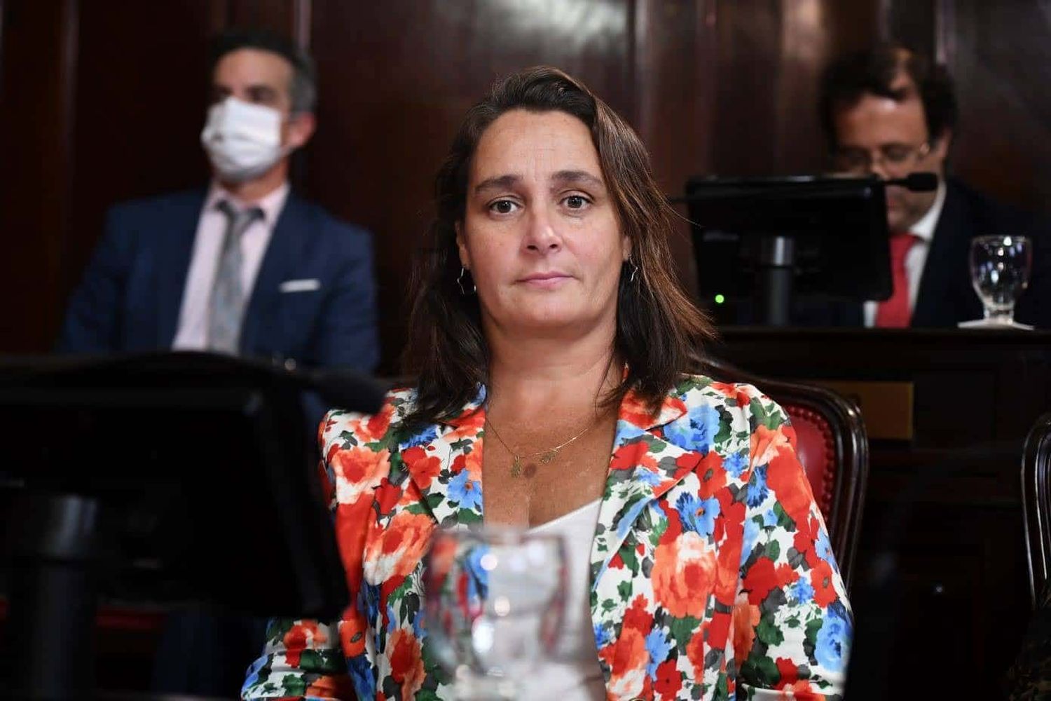 Por impulso de la senadora Mandagarán, 25 de Mayo quedó a un paso de ser la Capital Provincial del Carnaval