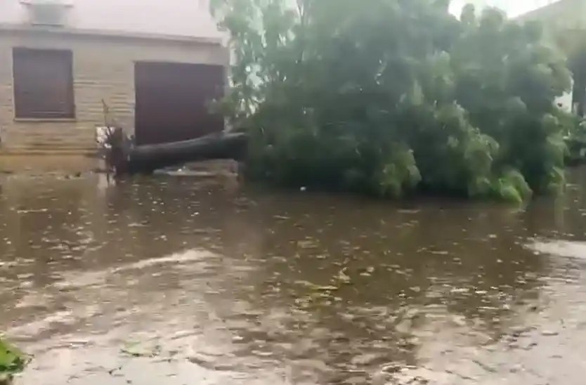 Alerta Meteorológico en Provincia: Reportaron fuerte viento, anegamientos y árboles caídos en Bolívar