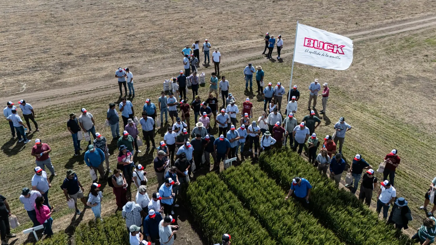 Día de Campo, de la mano de Buck Semillas