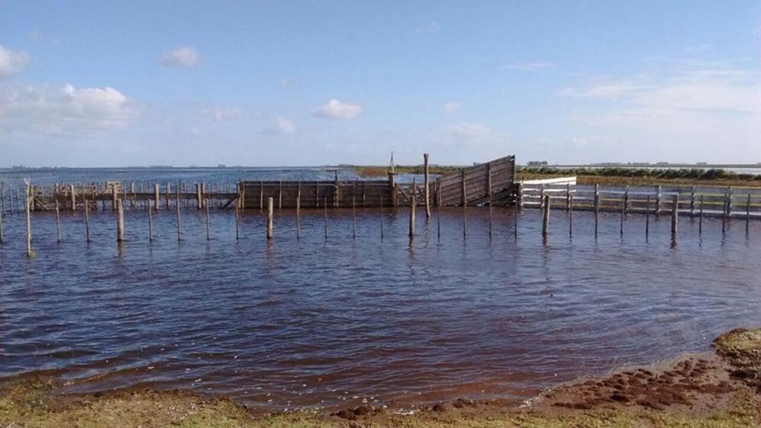 Hay ocho millones de hectáreas afectadas por el agua en la provincia
