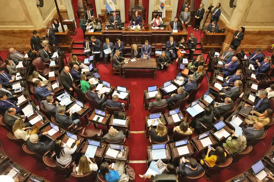 Elecciones 2025: el oficialismo pone pocas bancas en juego pero su principal aliado, el PRO, más del 60 por ciento