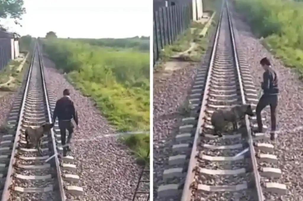 Video: encontraron un perro atado en las vías y lo rescataron