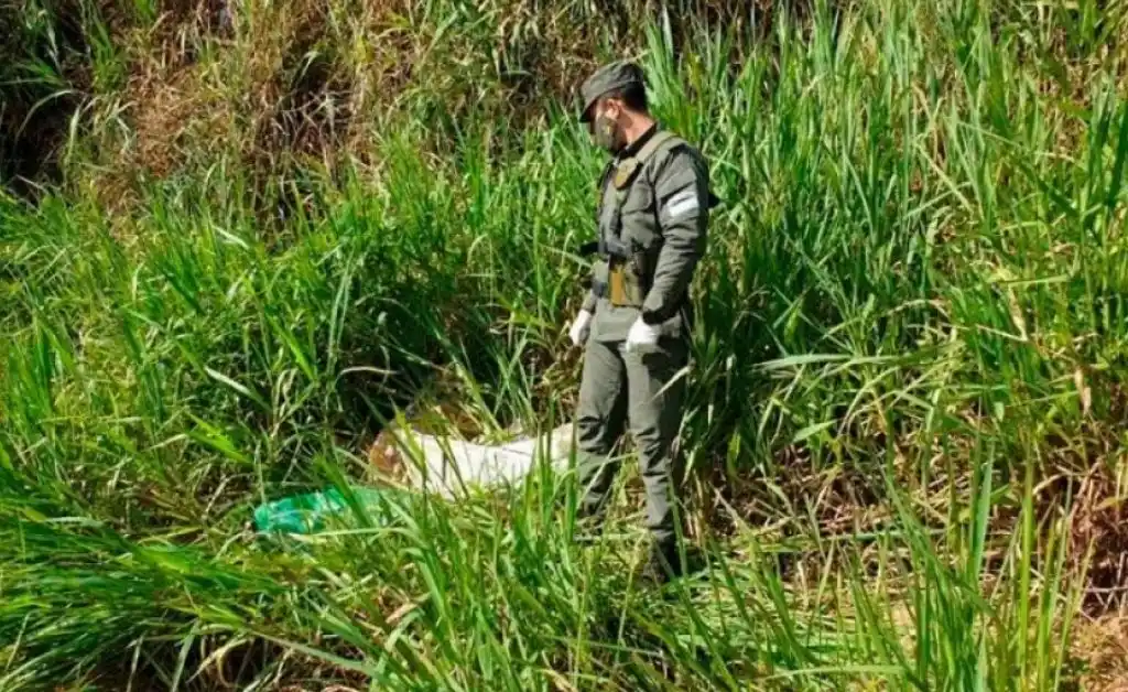 Descubren más de 55 kilos de marihuana a orillas del río Paraná