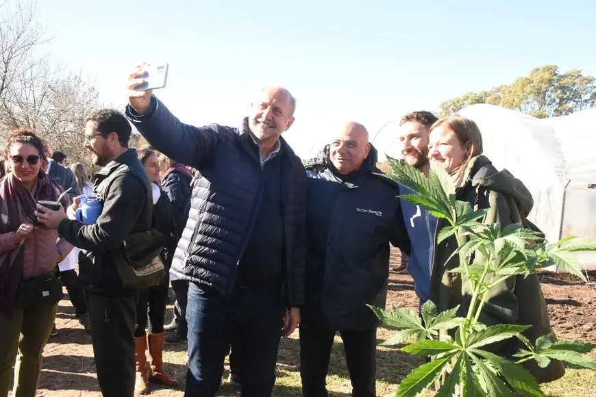 La provincia de Santa Fe comenzó su producción de cannabis medicinal
