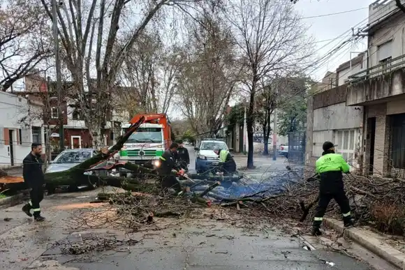 Cerca de 300 operarios atendieron anegamientos y árboles caídos en Rosario por el temporal