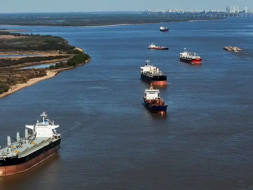 India redefine el mapa global de aceites vegetales y consolida a Argentina como proveedor clave.