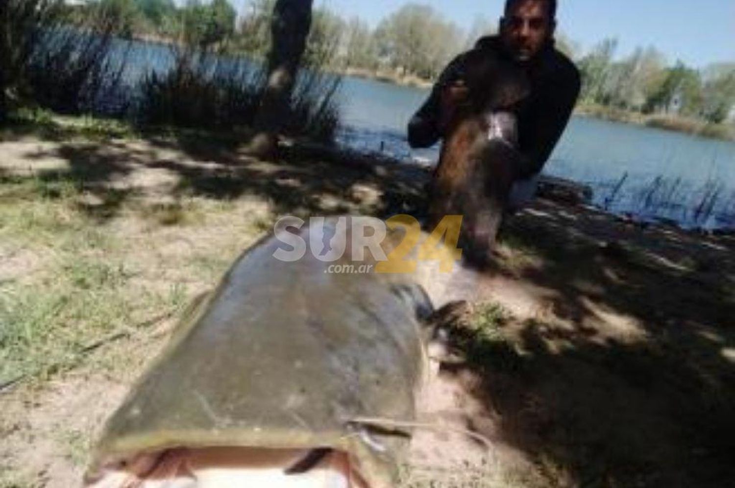 Capturan un pez de más de 2 metros de largo y 70 kilos en España 