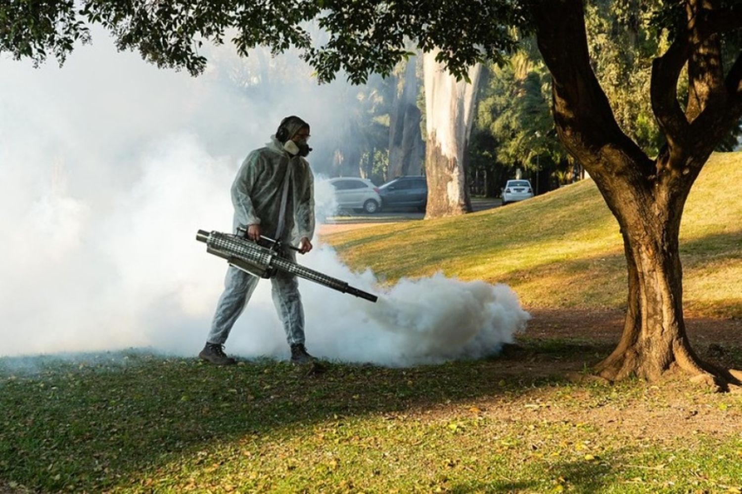 Mosquitos: fumigan 66 parques, plazas y espacios verdes de Rosario