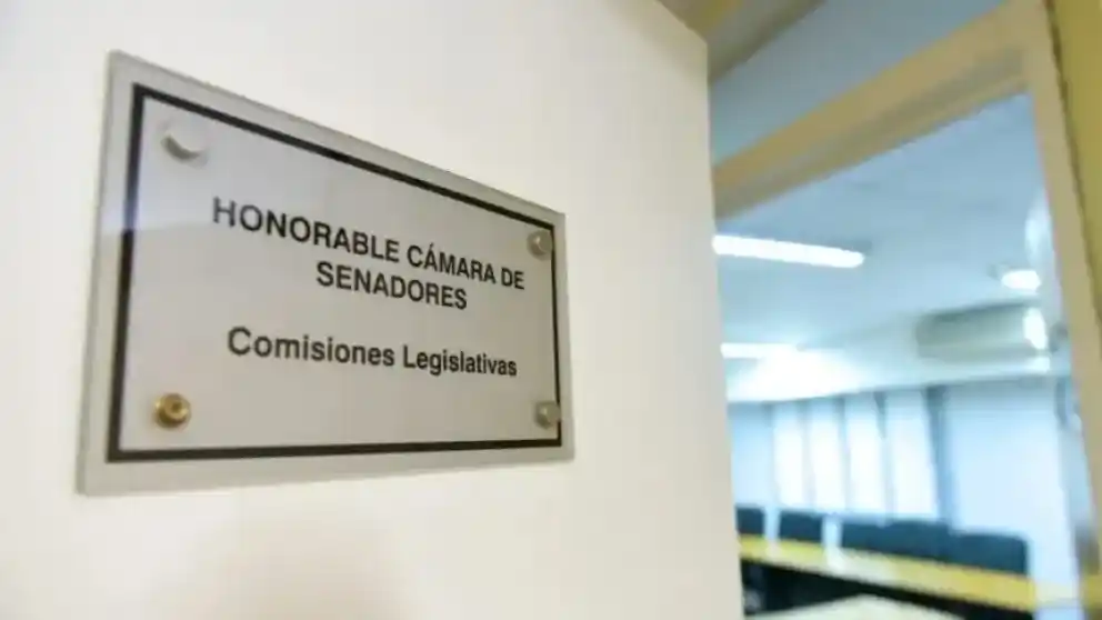Reforma jubilatoria: Rodríguez Signes fue convocado por el Senado