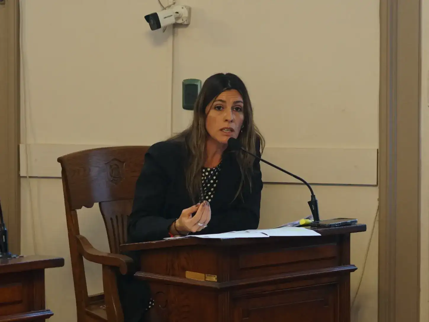 La concejal expresó su preocupación por el aumento de los hechos violentos en horarios nocturnos.