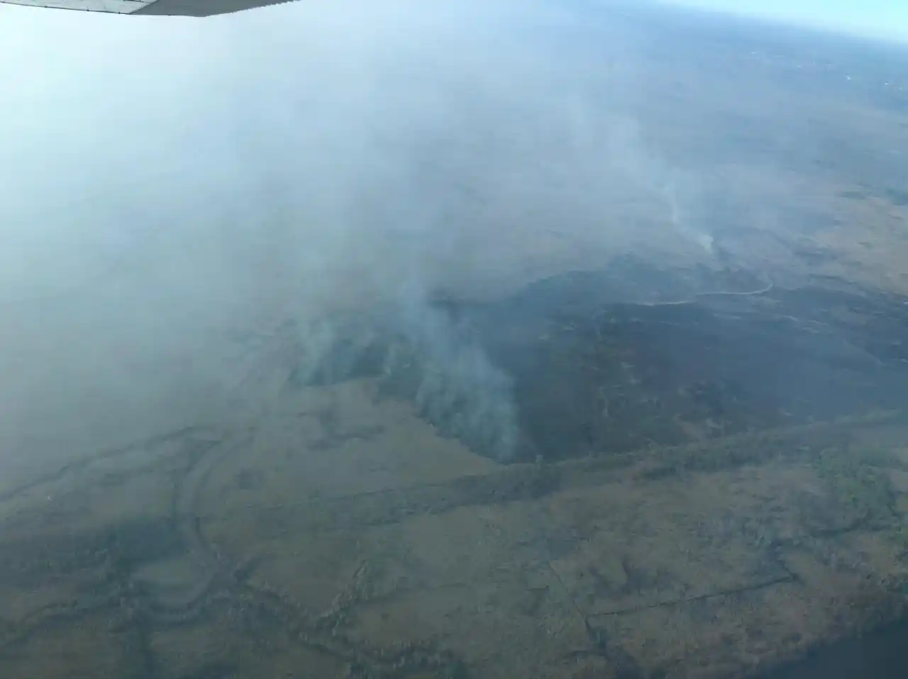 Incendios en el Delta: "No tenemos dudas de que se tratan de hechos intencionales", apuntaron desde el Municipio de Escobar