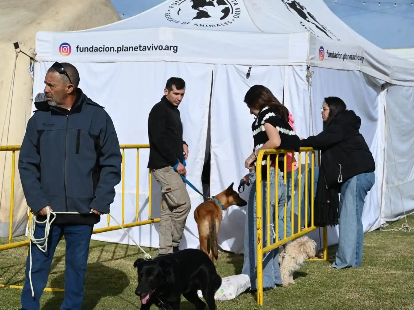 Se acercan a las 10.000 las castraciones gratuitas de perros y gatos en la ciudad