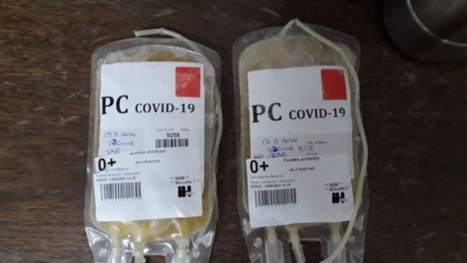 Quieren declarar “donante presunto” de plasma a todo paciente recuperado de coronavirus