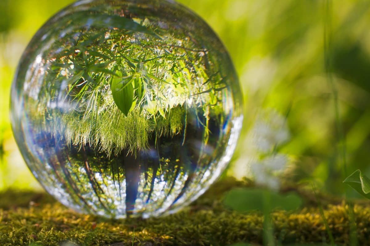 Responsabilidades alrededor del medioambiente