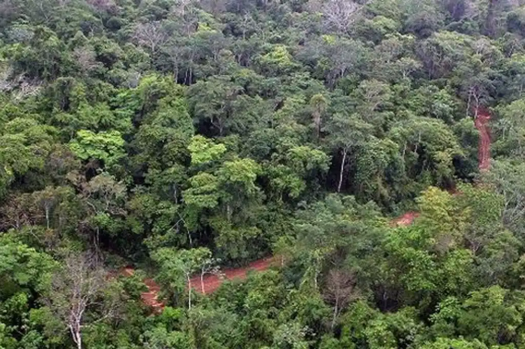 Aprobaron un proyecto de ley para crear un programa Sustentabilidad Ambiental